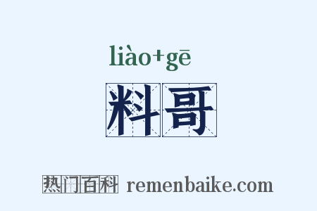 料哥是什么意思的图片